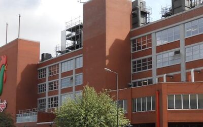 Kellogg’s trusts Transfesa Logistics for a new international food traffic