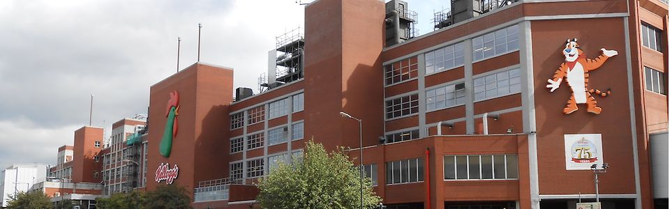 Kellogg’s trusts Transfesa Logistics for a new international food traffic