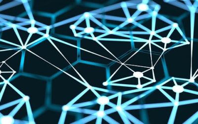 Anubis, cutting edge technology for logistics management